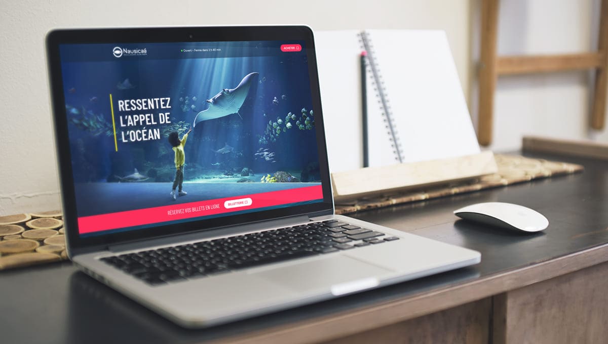 26 nouveaux projets de site vitrine et e-commerce ont été réalisés