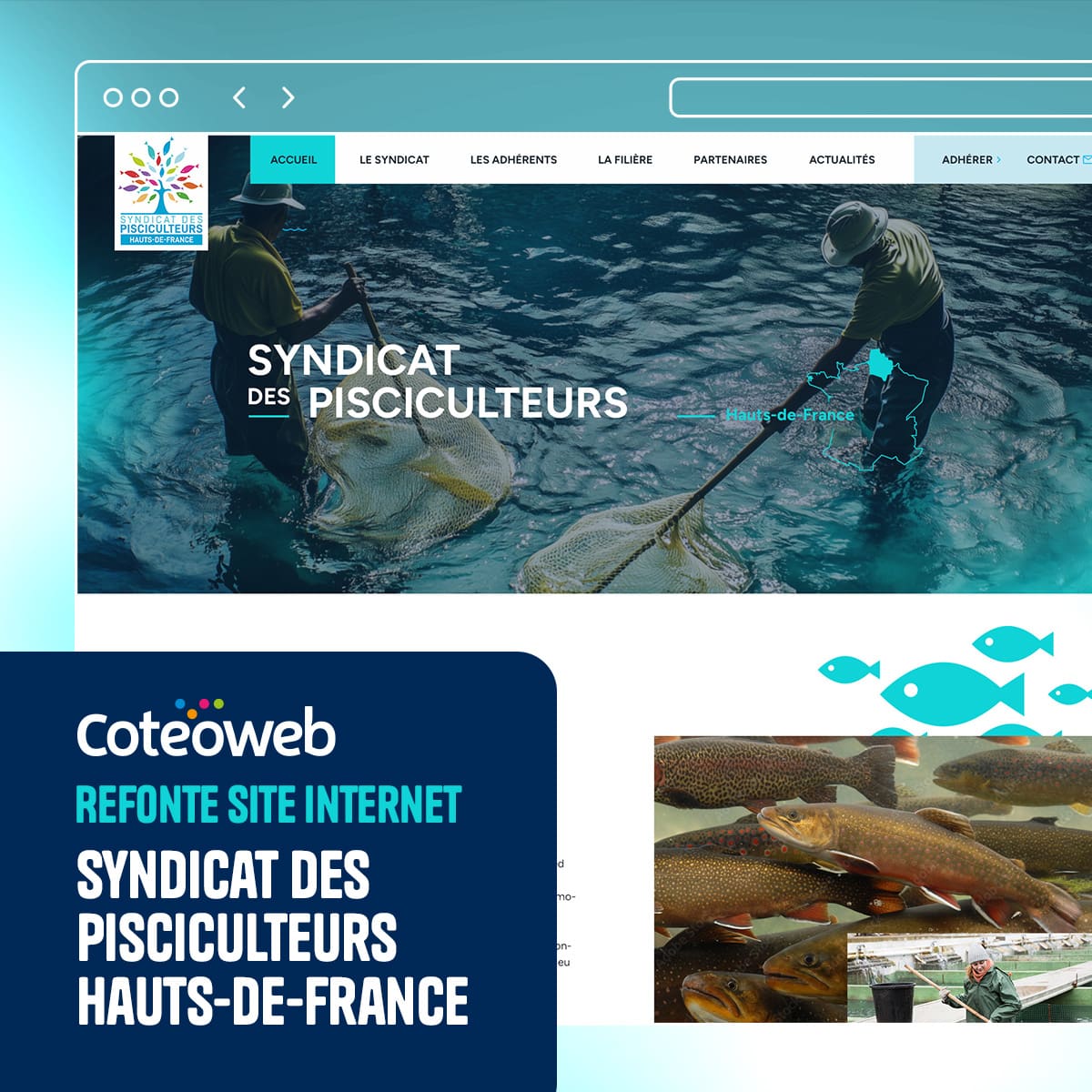creation site web syndicat pisciculteurs hauts de france