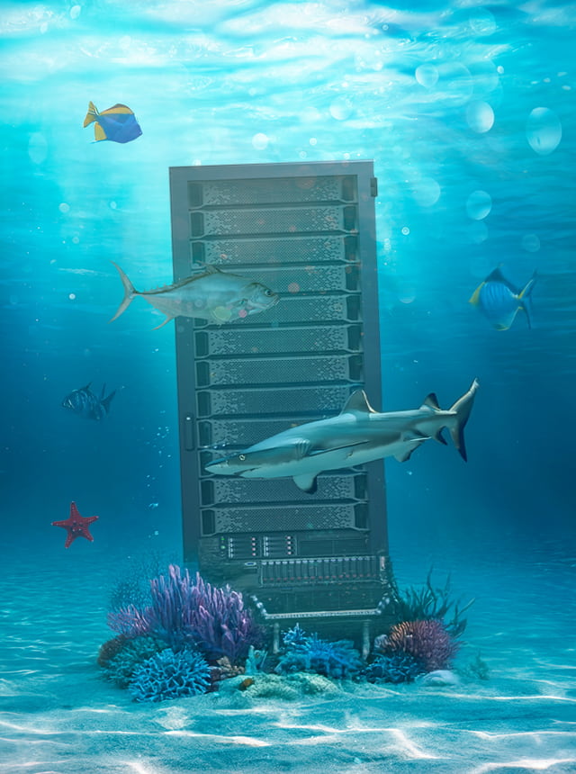 Hébergement web du site Nausicaa : un défi relevé avec succès